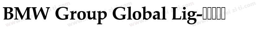 BMW Group Global Lig字体转换